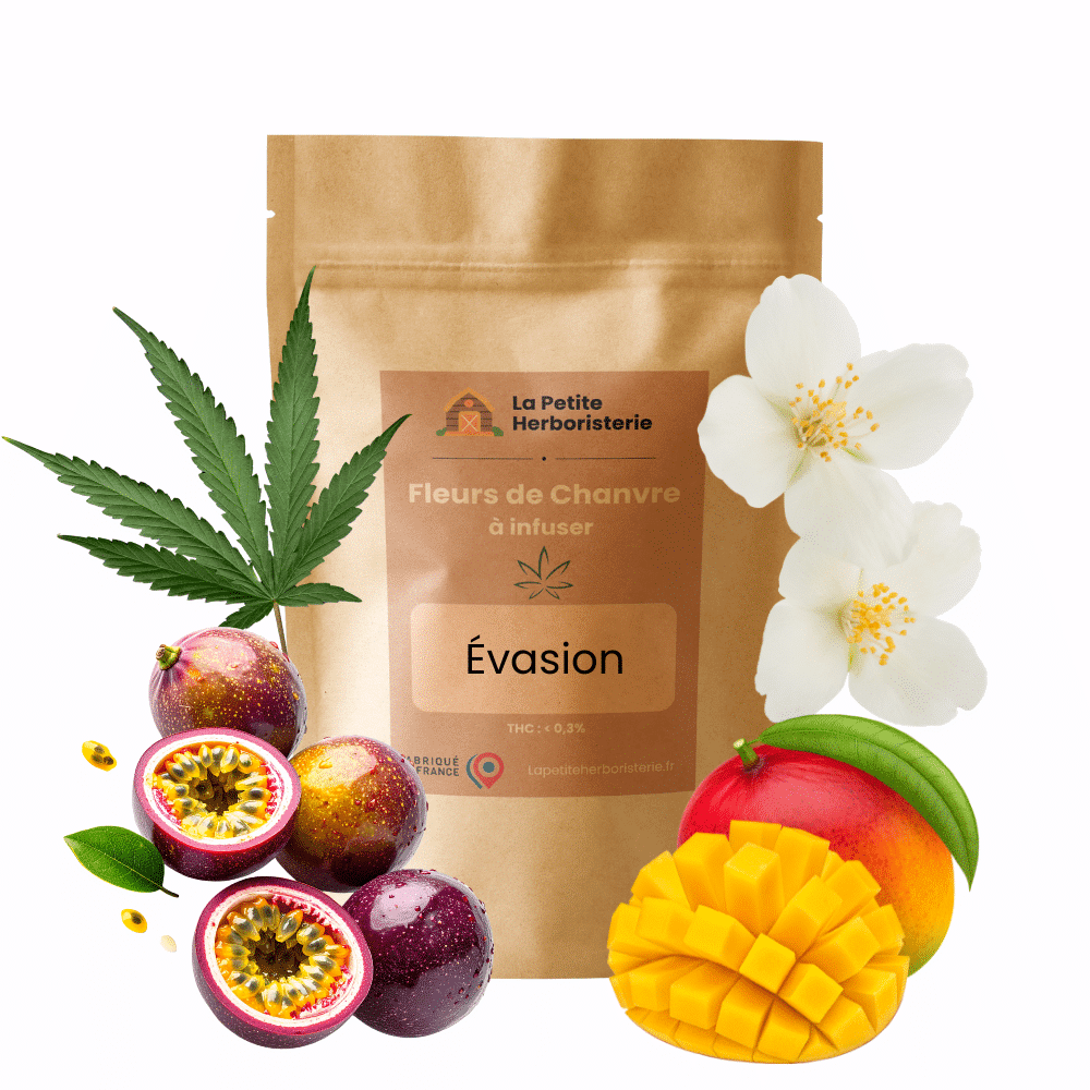 Infusion CBD tisane CBD AlcoveZen fruits exotique