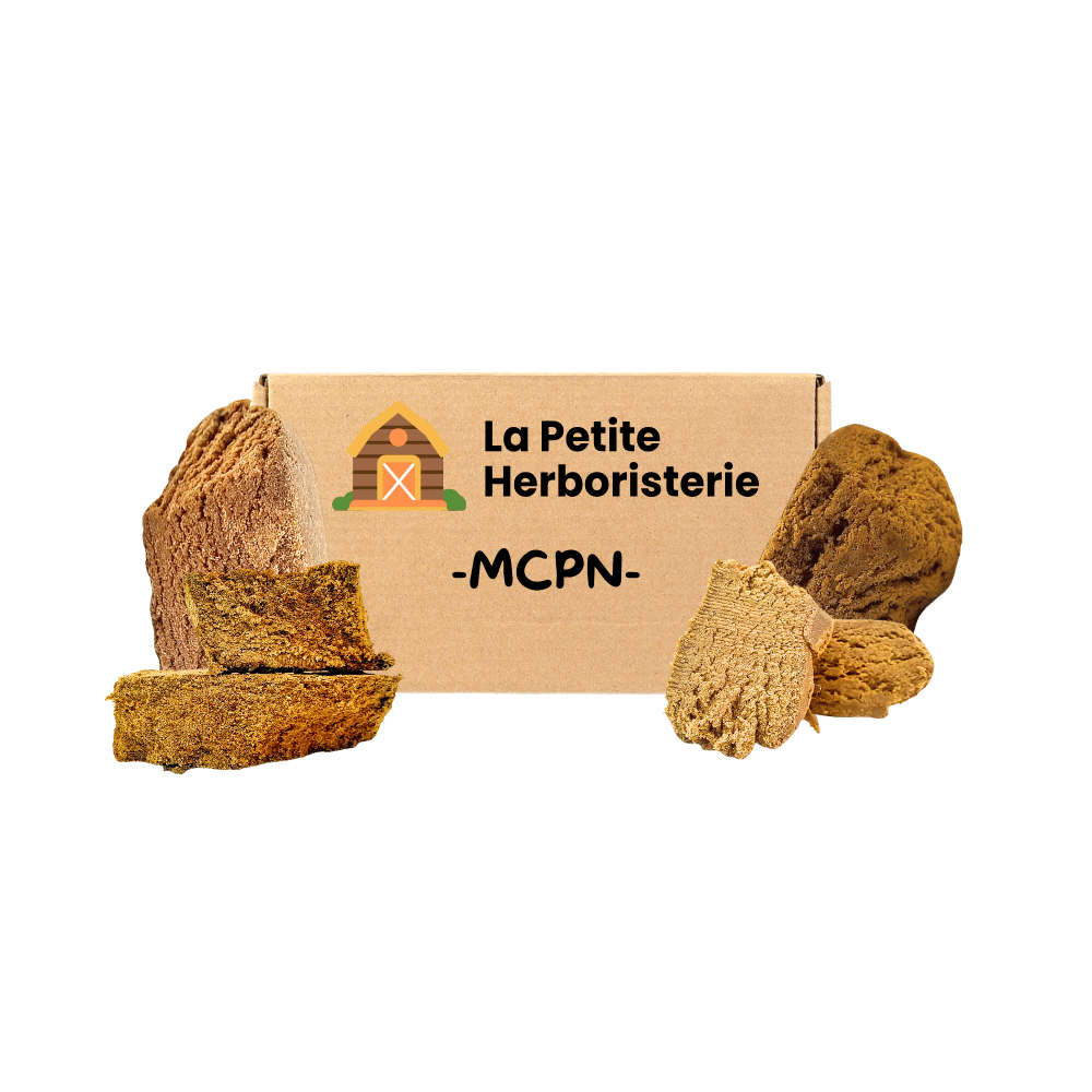 pack 4 résines MCPN