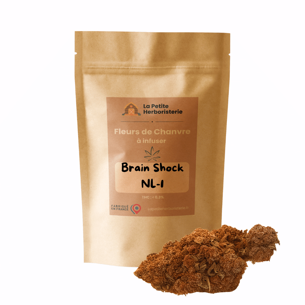 fleur brain shock NL-1