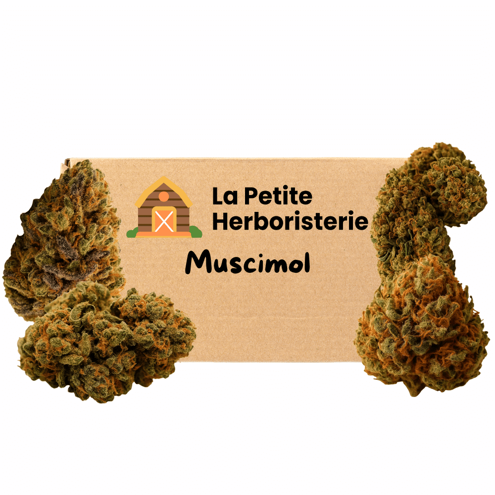 pack 4 fleurs cbd muscimol