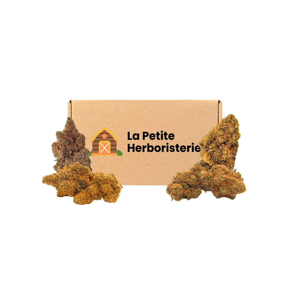 Pack Découverte 10 OH HHC 4 fleurs