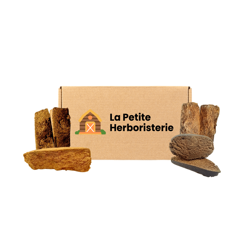 Pack Découverte CBC+ 4 résines
