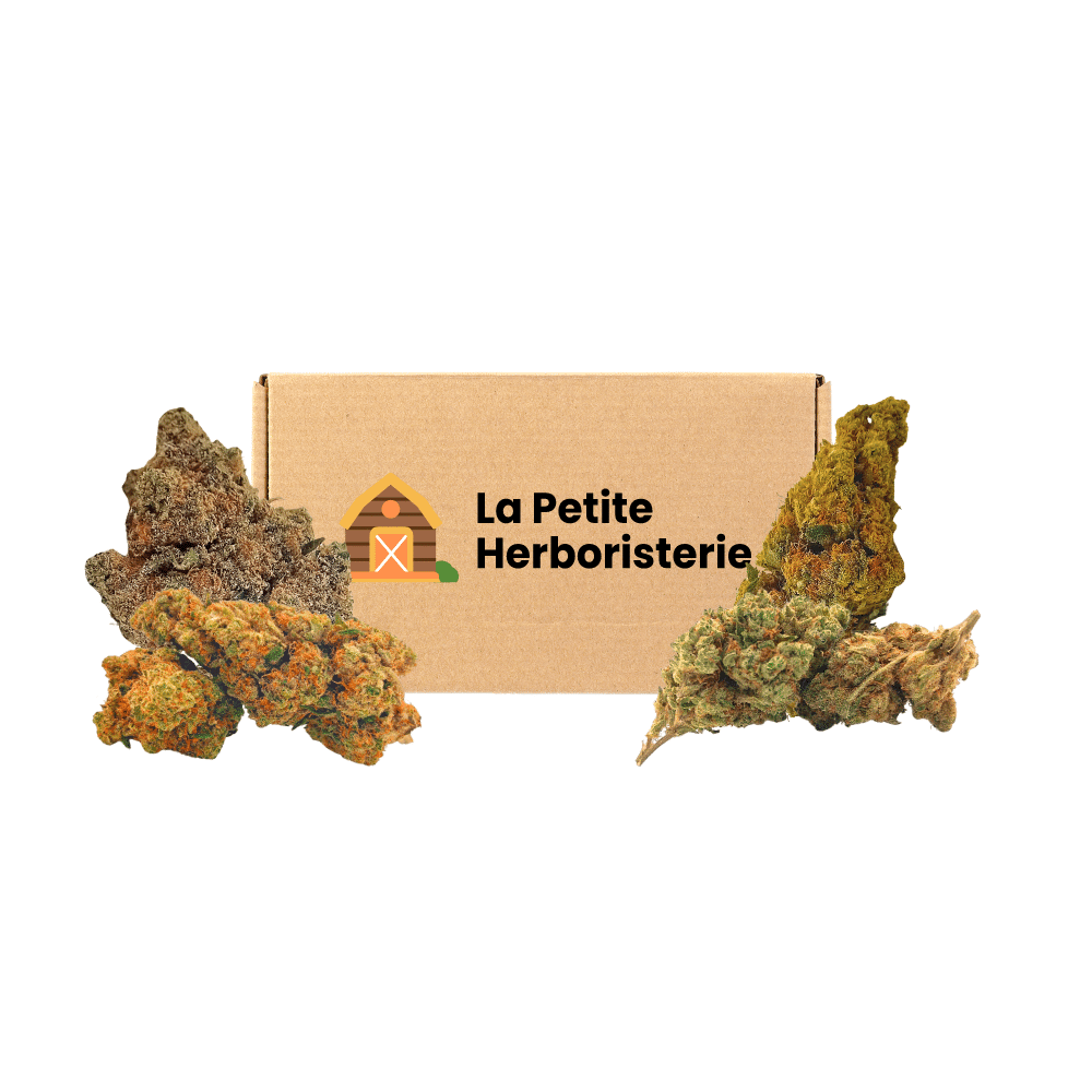 Pack Découverte CBDP 4 fleurs