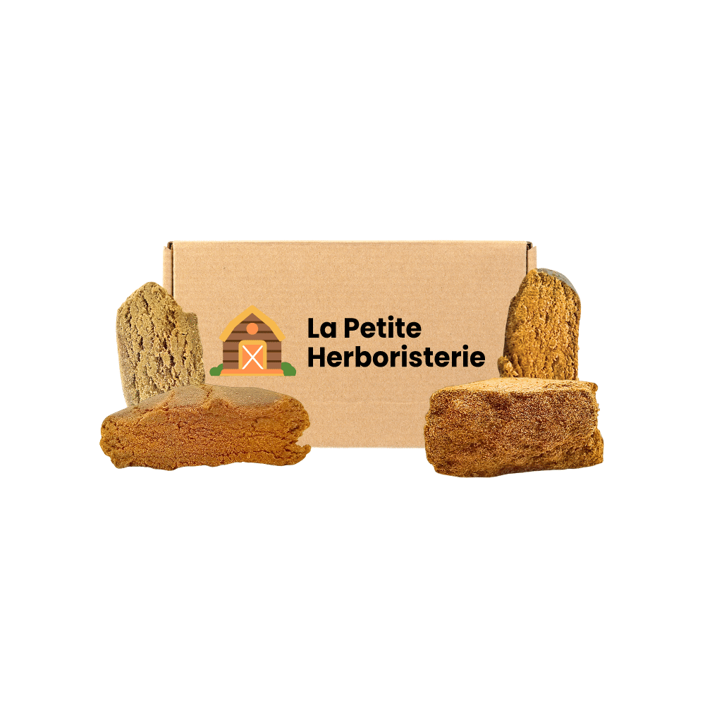 Pack Découverte CBDP 4 résines