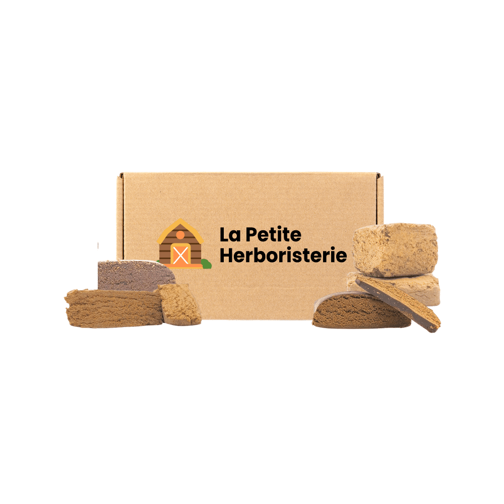 Pack Découverte HPE 4 résines