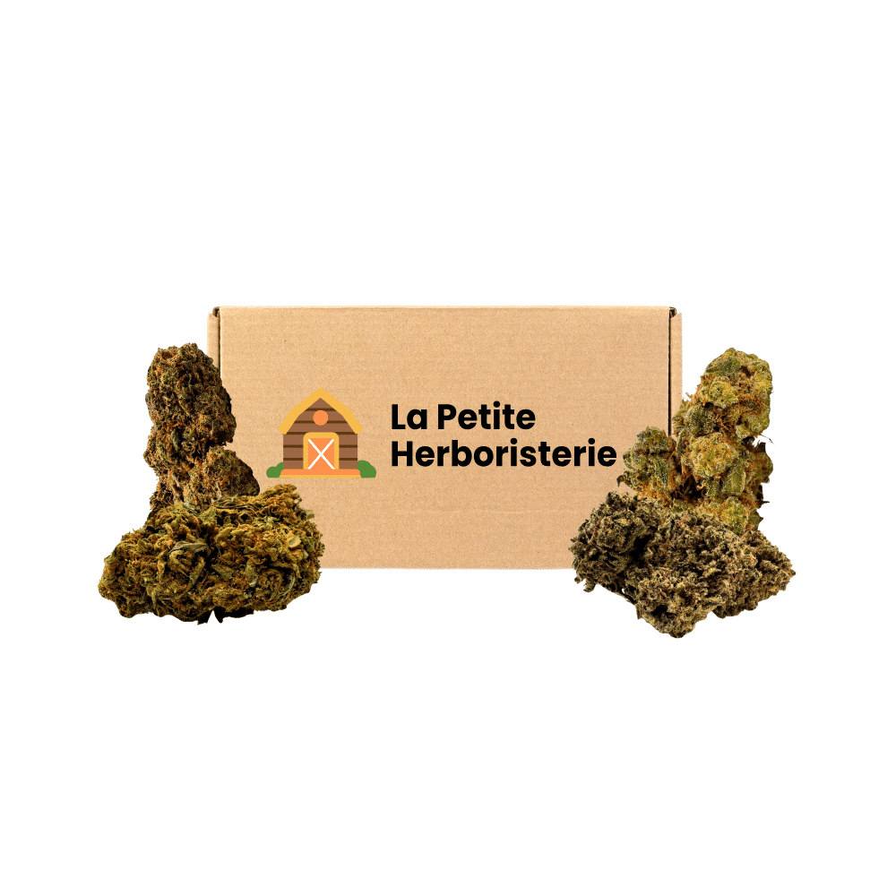 Pack Découverte 4 fleurs Greenhouse CBD