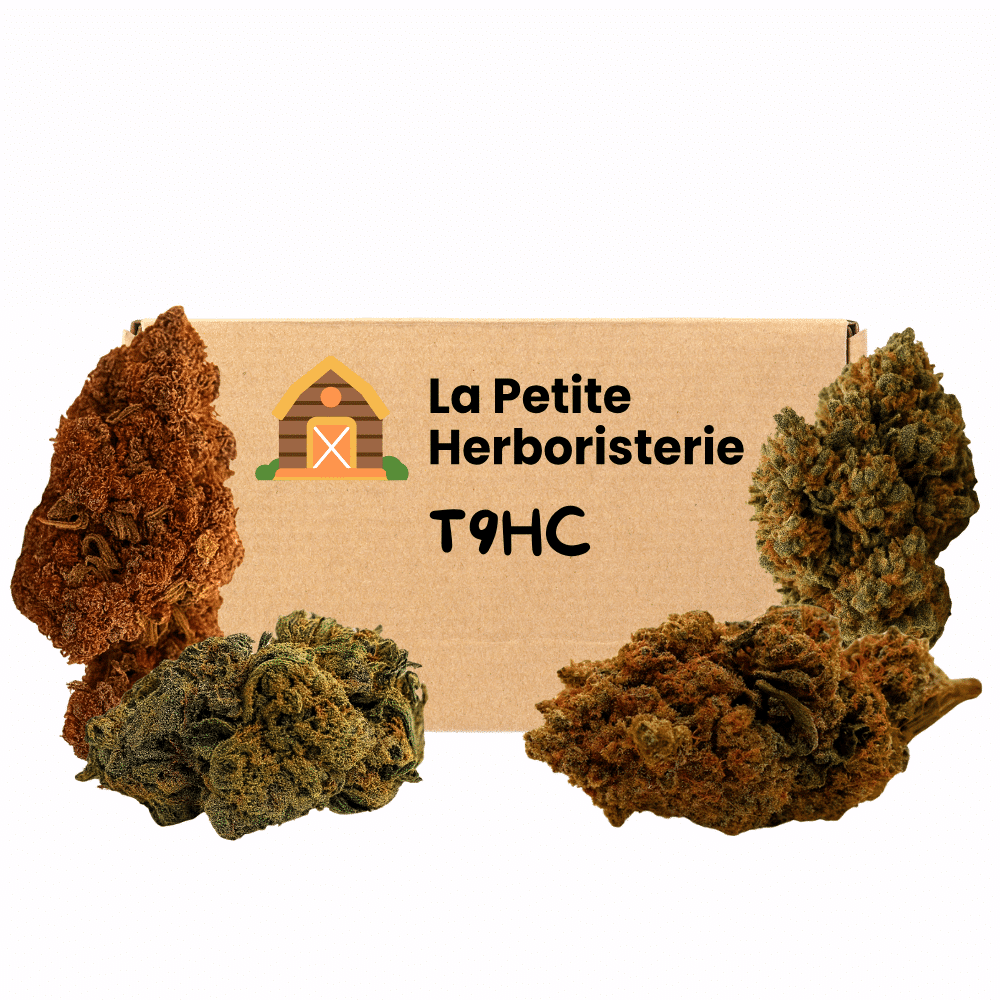 Pack 4 fleurs T9HC