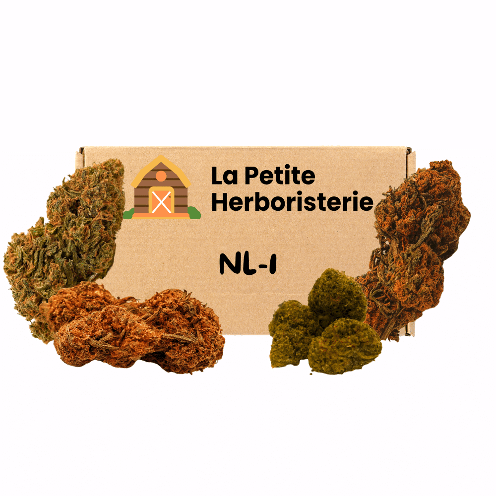 pack 4 fleurs NL-1