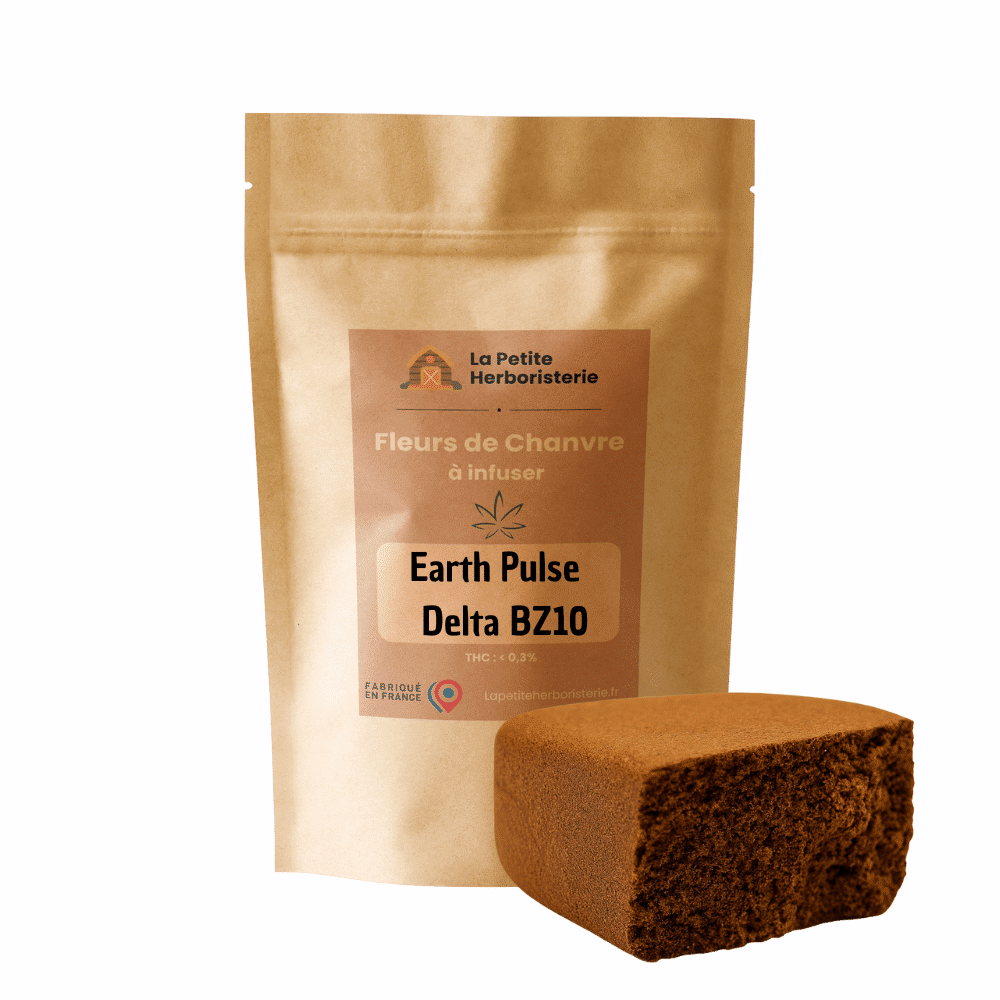 résine earth pulse delta bz10
