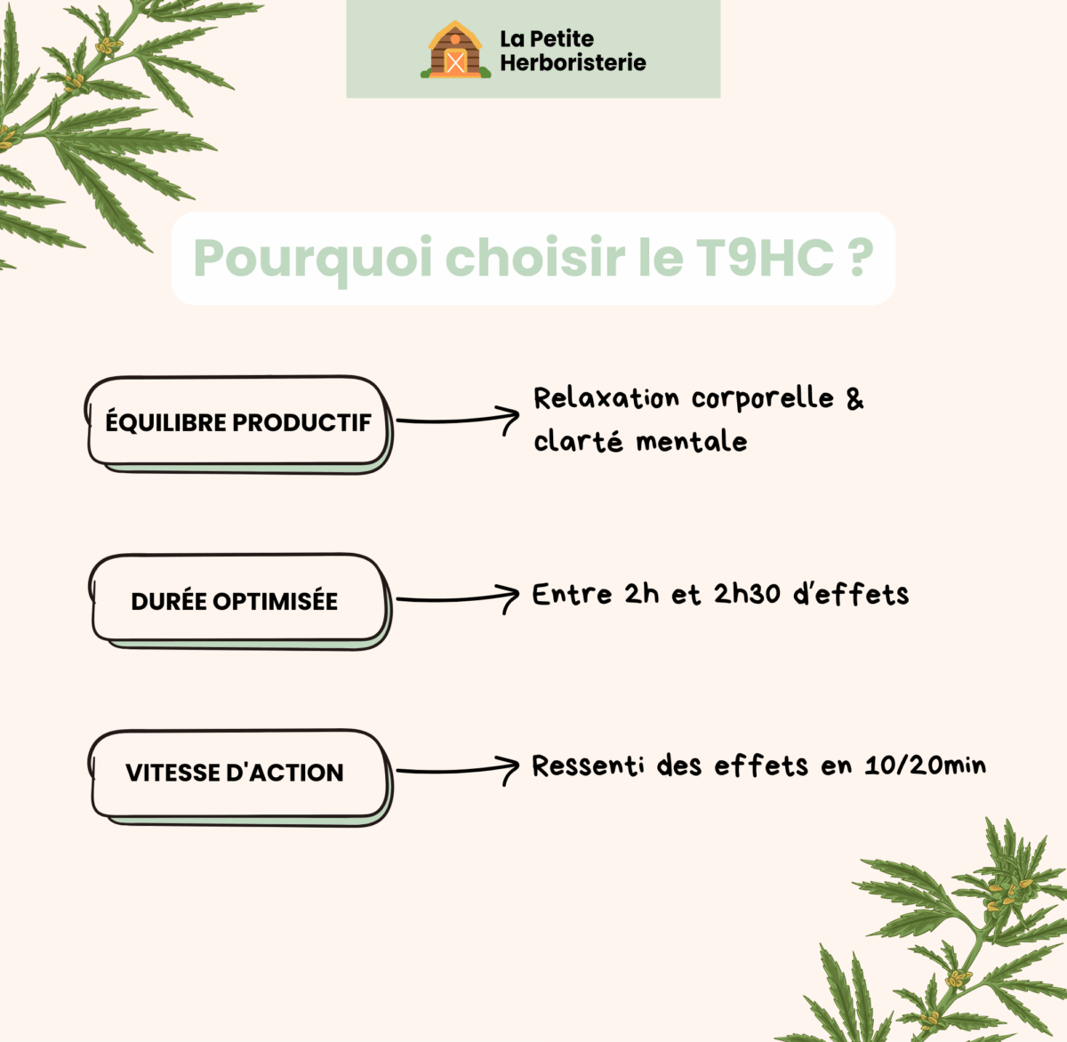 Pourquoi choisir le t9hc ?